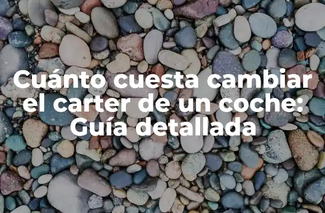¿Cuál es el propósito del carter en un coche?