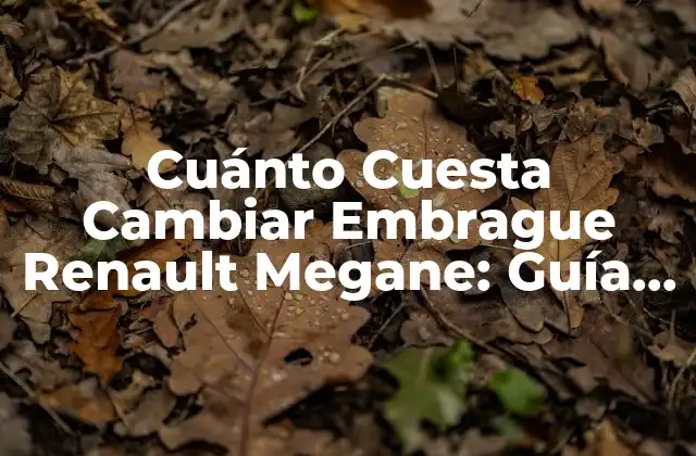 Cuánto Cuesta Cambiar Embrague Renault Megane: Guía Detallada