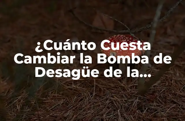 ¿cuánto Cuesta Cambiar la Bomba de Desagüe de la Lavadora?