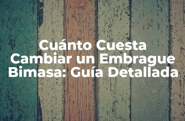 Cuánto Cuesta Cambiar un Embrague Bimasa: Guía Detallada