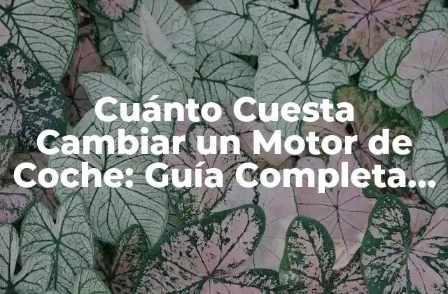 Cuánto Cuesta Cambiar un Motor de Coche: Guía Completa y Actualizada
