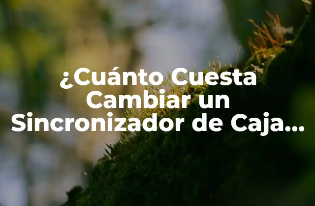 ¿cuánto Cuesta Cambiar un Sincronizador de Caja de Cambios?
