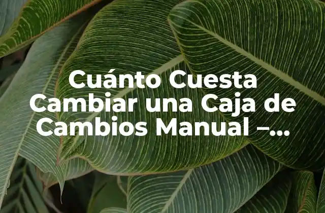 Cuánto Cuesta Cambiar una Caja de Cambios Manual – Precio y Costos