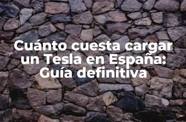 ¿Cuáles son los modelos de Tesla disponibles en España y sus precios?