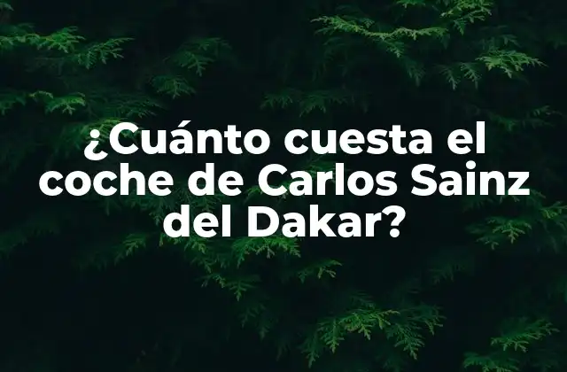 ¿cuánto Cuesta el Coche de Carlos Sainz Del Dakar?