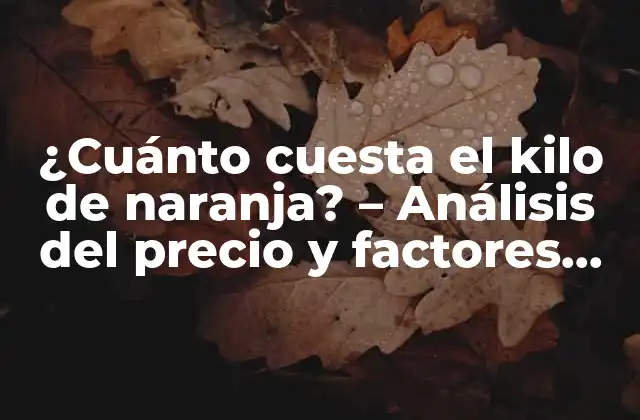 ¿cuánto Cuesta el Kilo de Naranja? – Análisis Del Precio y Factores que Lo Influyen