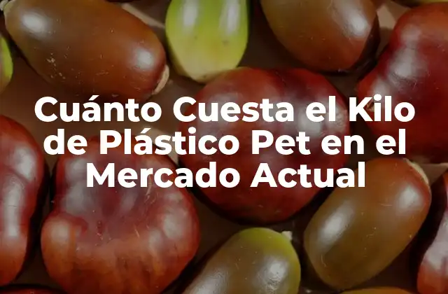 Cuánto Cuesta el Kilo de Plástico Pet en el Mercado Actual
