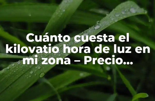 Cuánto Cuesta el Kilovatio Hora de Luz en Mi Zona – Precio Actualizado