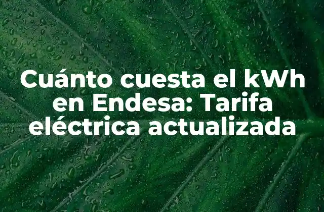¿Cuál es la tarifa eléctrica promedio en España?