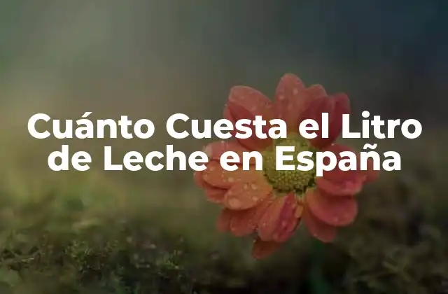 Cuánto Cuesta el Litro de Leche en España