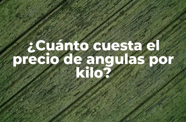 ¿cuánto Cuesta el Precio de Angulas por Kilo?