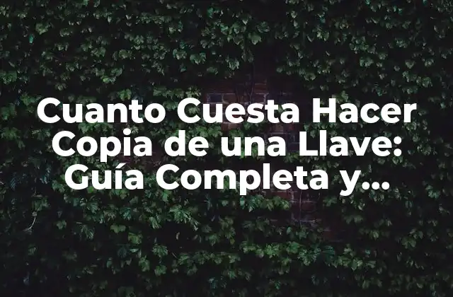 Cuanto Cuesta Hacer Copia de una Llave: Guía Completa y Actualizada