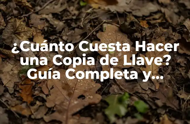¿cuánto Cuesta Hacer una Copia de Llave? Guía Completa y Precios