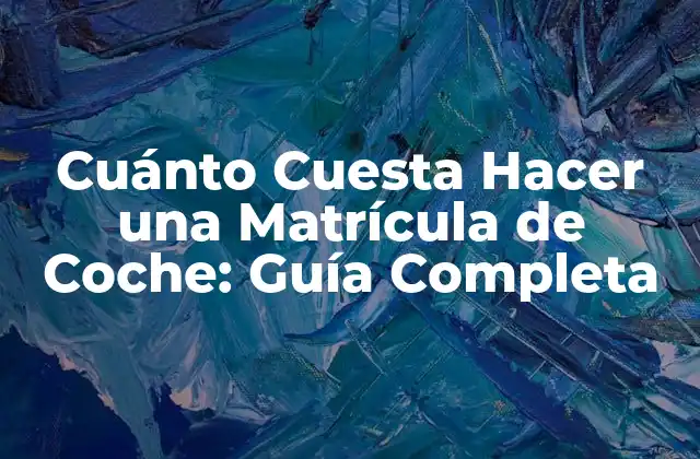 Tipos de Matrículas de Coche