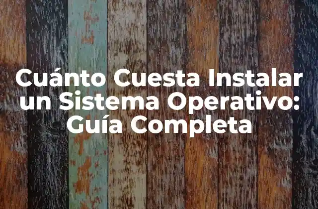 Cuánto Cuesta Instalar un Sistema Operativo: Guía Completa