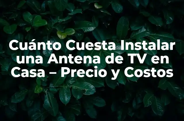 Cuánto Cuesta Instalar una Antena de Tv en Casa – Precio y Costos