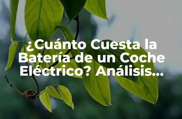 ¿cuánto Cuesta la Batería de un Coche Eléctrico? Análisis Detallado
