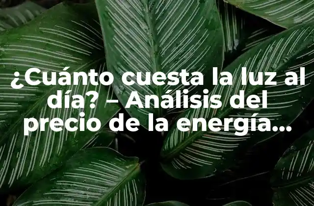 ¿cuánto Cuesta la Luz Al Día? – Análisis Del Precio de la Energía Eléctrica