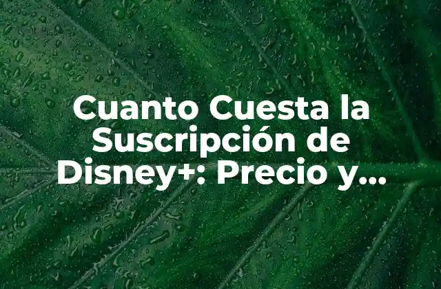 Cuanto Cuesta la Suscripción de Disney+: Precio y Ofertas Especiales