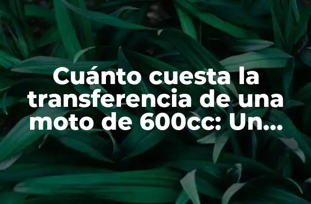 Cuánto Cuesta la Transferencia de una Moto de 600cc: un Guía Completo
