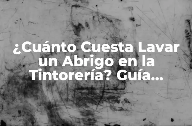 ¿cuánto Cuesta Lavar un Abrigo en la Tintorería? Guía Completa de Precios y Servicios