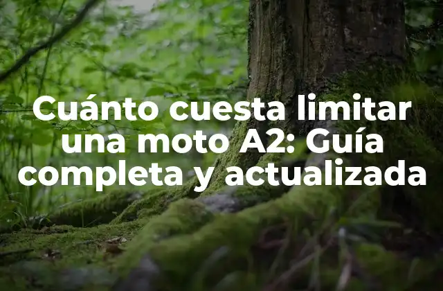 Cuánto Cuesta Limitar una Moto A2: Guía Completa y Actualizada