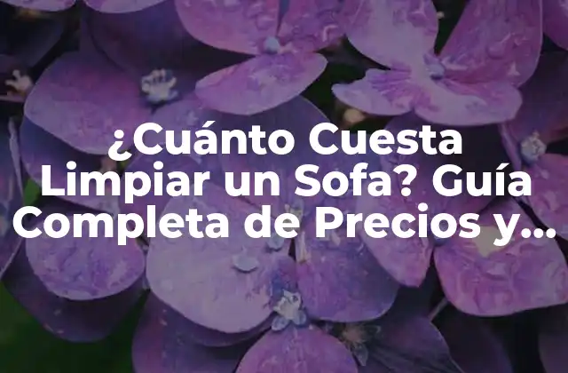 ¿cuánto Cuesta Limpiar un Sofa? Guía Completa de Precios y Técnicas