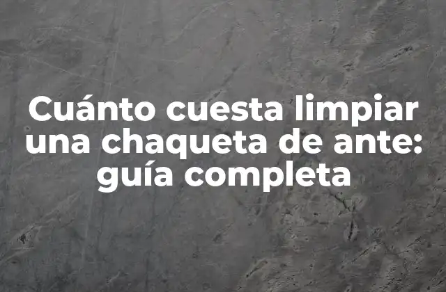 Cuánto Cuesta Limpiar una Chaqueta de Ante: Guía Completa