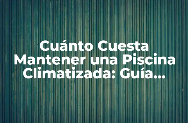 Cuánto Cuesta Mantener una Piscina Climatizada: Guía Completa 2 Costos Iniciales de Instalación de una Piscina Climatizada