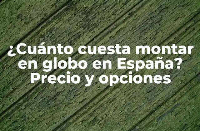 ¿cuánto Cuesta Montar en Globo en España? Precio y Opciones