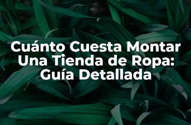 Cuánto Cuesta Montar una Tienda de Ropa: Guía Detallada