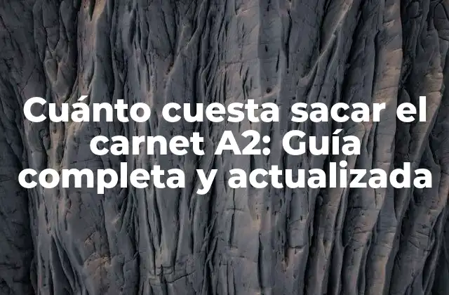 Cuánto Cuesta Sacar el Carnet A2: Guía Completa y Actualizada
