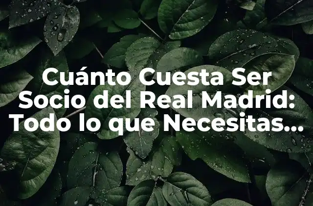 Cuánto Cuesta Ser Socio Del Real Madrid: Todo Lo que Necesitas Saber