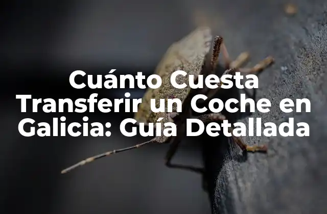 Cuánto Cuesta Transferir un Coche en Galicia: Guía Detallada