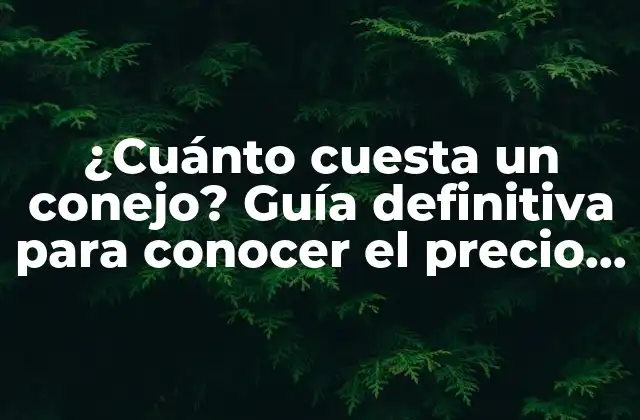 ¿cuánto Cuesta un Conejo? Guía Definitiva para Conocer el Precio de un Conejo como Mascota