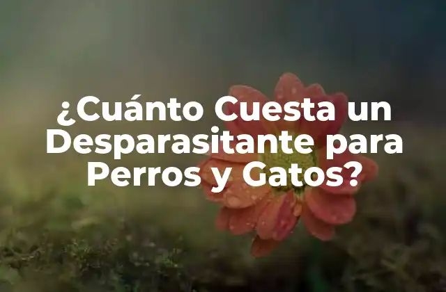 ¿cuánto Cuesta un Desparasitante para Perros y Gatos?