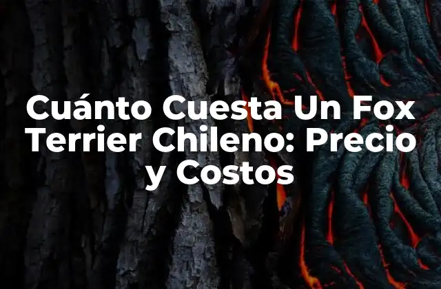 Precio de un Fox Terrier Chileno: Factores que Afectan el Costo
