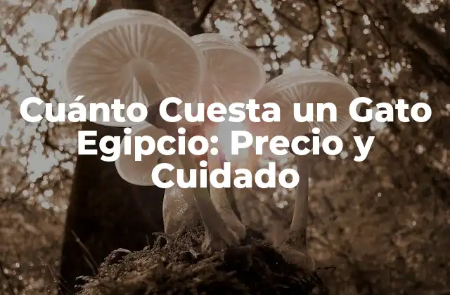 Cuánto Cuesta un Gato Egipcio: Precio y Cuidado 2 Orígenes del Gato Egipcio y su Valor