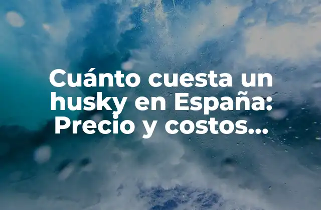 Cuánto Cuesta un Husky en España: Precio y Costos Asociados