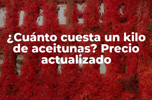 ¿cuánto Cuesta un Kilo de Aceitunas? Precio Actualizado