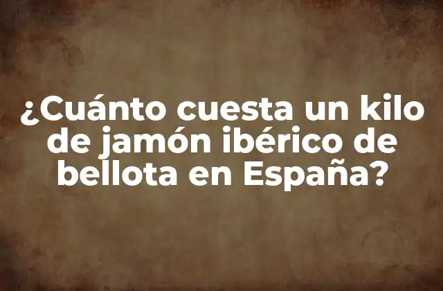 ¿cuánto Cuesta un Kilo de Jamón Ibérico de Bellota en España?