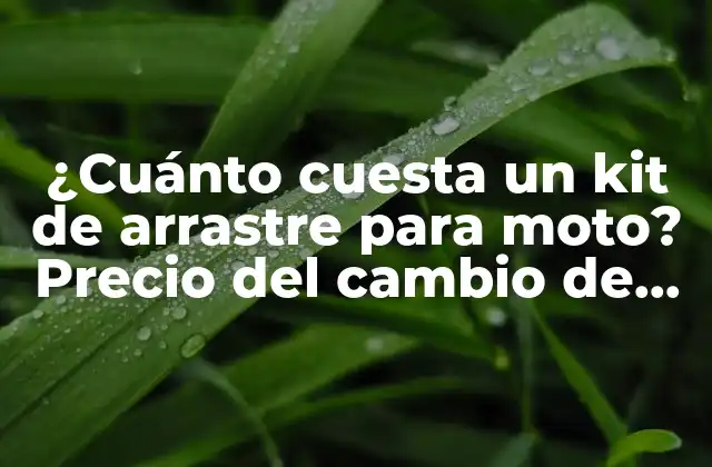 ¿cuánto Cuesta un Kit de Arrastre para Moto? Precio Del Cambio de Kit de Arrastre