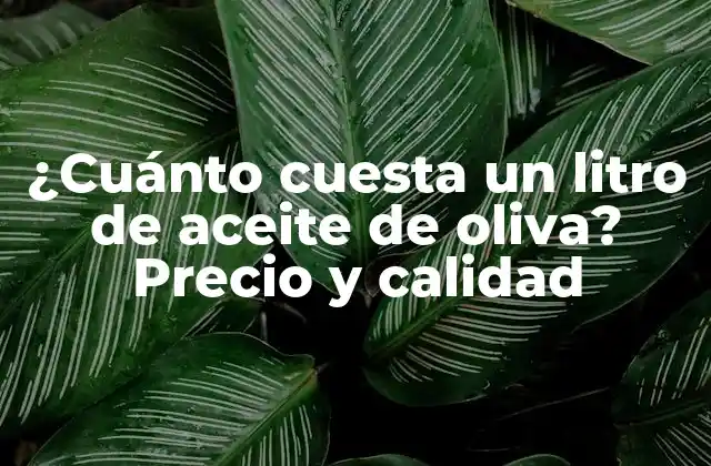 ¿cuánto Cuesta un Litro de Aceite de Oliva? Precio y Calidad