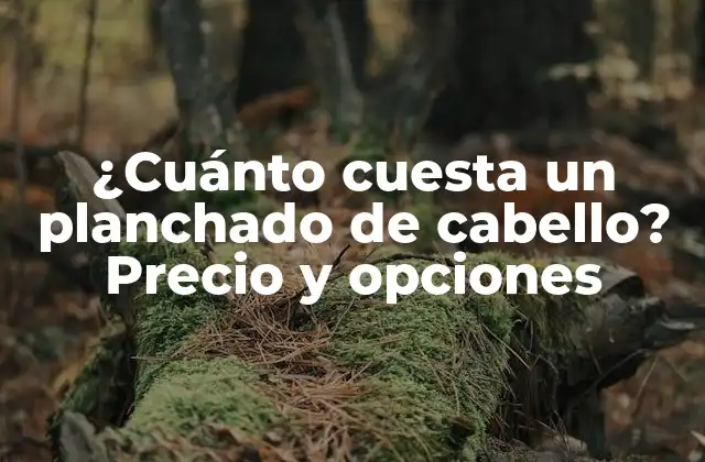 ¿cuánto Cuesta un Planchado de Cabello? Precio y Opciones 2 ¿Qué es un planchado de cabello?