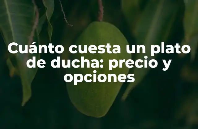 Cuánto Cuesta un Plato de Ducha: Precio y Opciones