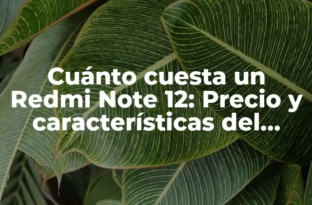 Cuánto Cuesta un Redmi Note 12: Precio y Características Del Nuevo Modelo