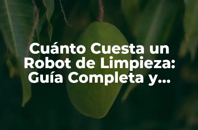 Cuánto Cuesta un Robot de Limpieza: Guía Completa y Actualizada