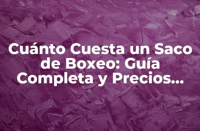 Cuánto Cuesta un Saco de Boxeo: Guía Completa y Precios Actualizados