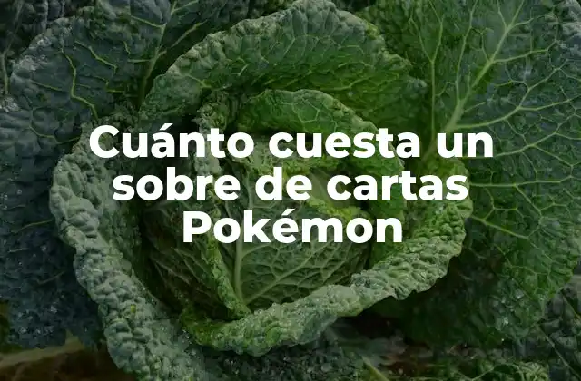 Cuánto Cuesta un sobre de Cartas Pokémon 2 ¿Qué es un sobre de cartas Pokémon?