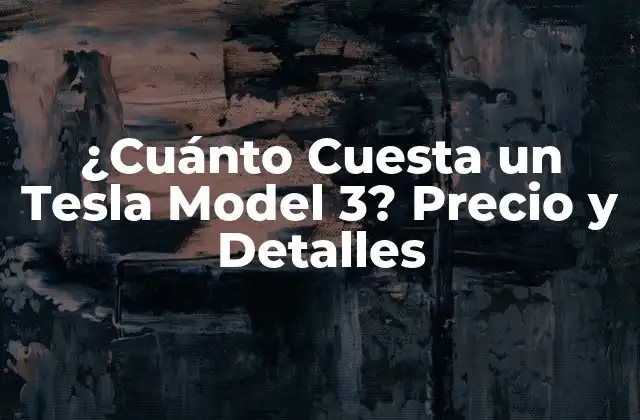 ¿cuánto Cuesta un Tesla Model 3? Precio y Detalles